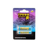 Батарейка AA Трофи LR6 (упаковка 2 шт.) ― Nsk.OnlineBazar.su