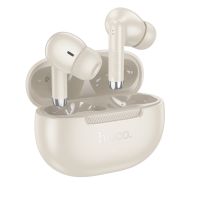 Беспроводные Bluetooth наушники Hoco EQ24 <золотой> ― Nsk.OnlineBazar.su
