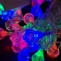 Гирлянда внутренняя нить "Бриллиант" (5 метров, 28 шт, провод черный, RG/RB) ― Nsk.OnlineBazar.su