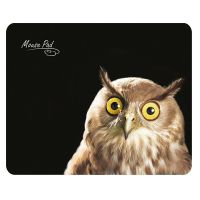 Коврик для компьютерной мыши Dialog PM-H15 Owl ― Nsk.OnlineBazar.su