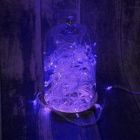 Светодиодная гирлянда (нить IDSL, 10 метров, 100 диодов, провод черный, диоды пурпурные) ― Nsk.OnlineBazar.su