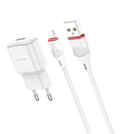 Сетевое зарядное устройство для Apple iPod Nano 6G Borofone BA48A <белый>