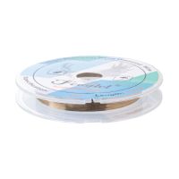Струна для разделения дисплейных модулей Feaglet (0,035 мм, 100 м) ― Nsk.OnlineBazar.su
